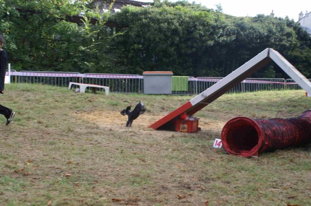 foire-haricots 2011-09-17et18